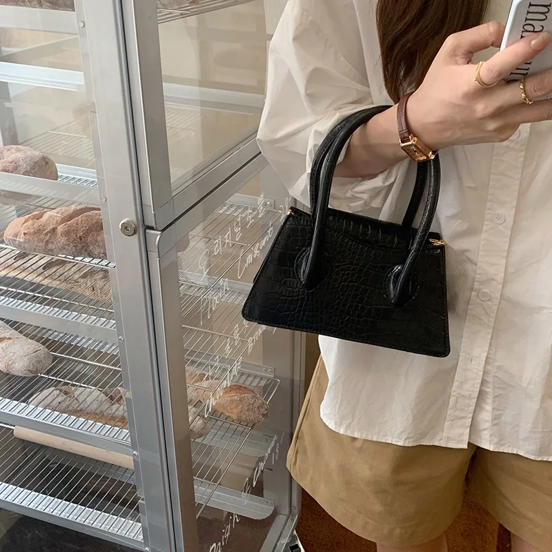 

High Quality Niche Western-style Exquisite Small Square Bag 2025 New Fashionable Trend Handbag Simple Crossbody Bag for Women