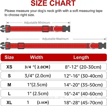 8 best sales 소형견용 목줄 - №4