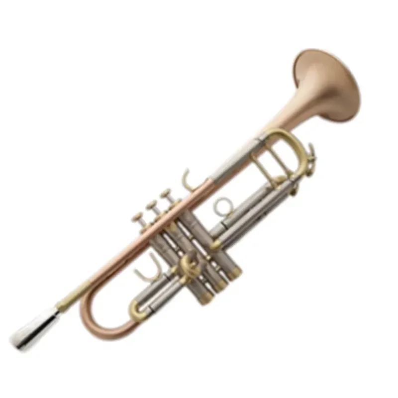 The Manufacturer Sells Small-sized Musical Instruments in the Key of D Flat the Brass Horn with Brushed Finish and Heavy Weight