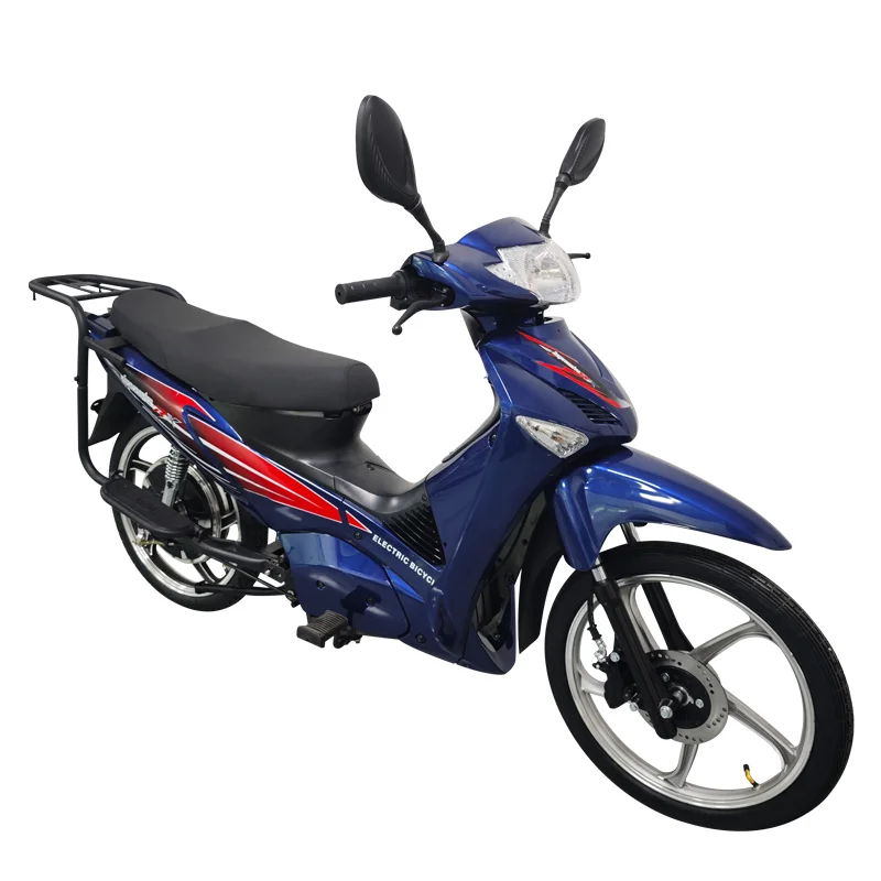 家庭用電動自転車,60Vリチウム電池,800W, 22インチ,OEM