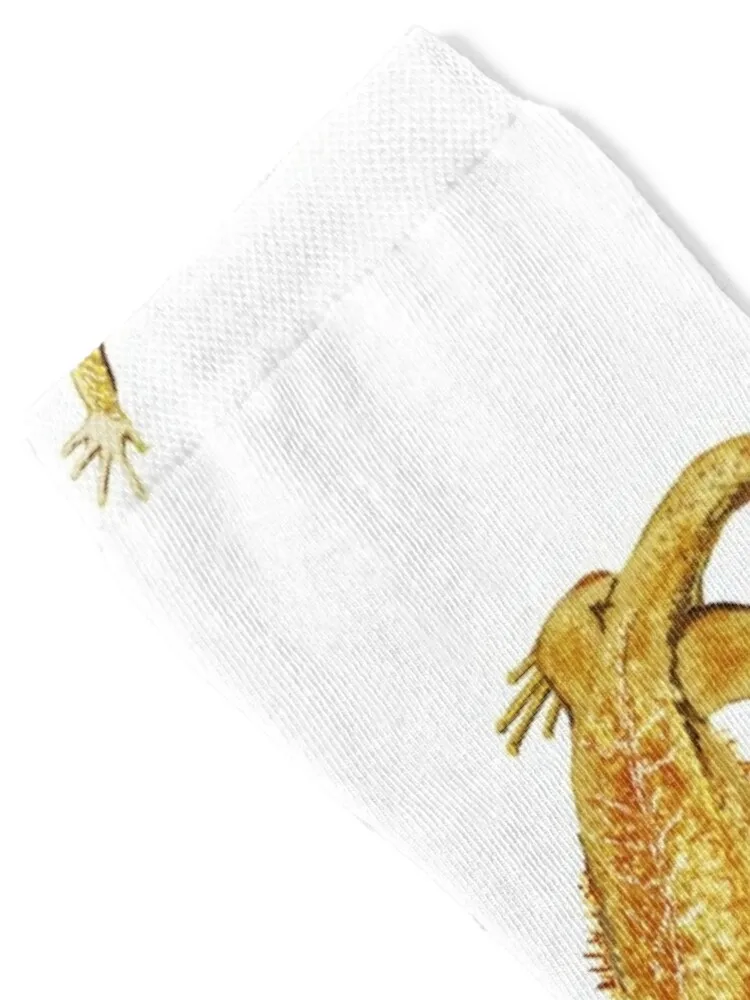 Bearded Dragon Lizard Socks