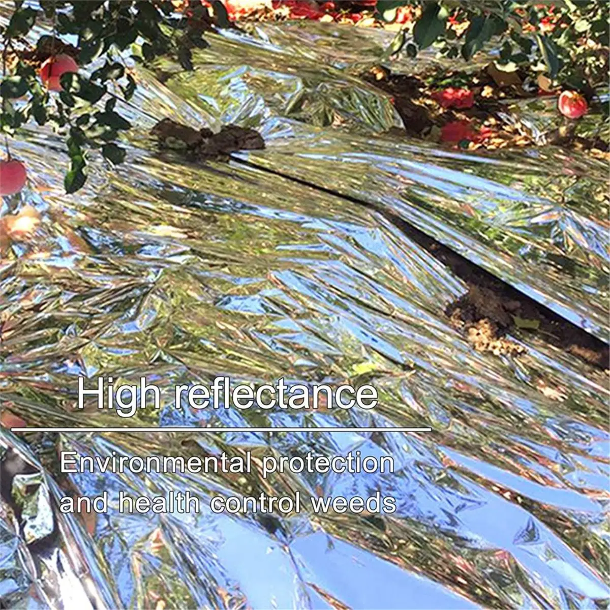 COFA 6 Pack Large High Silver Reflective Film, High Reflectivity, Keep Warm, Perfect for Plant Growth, Marathon