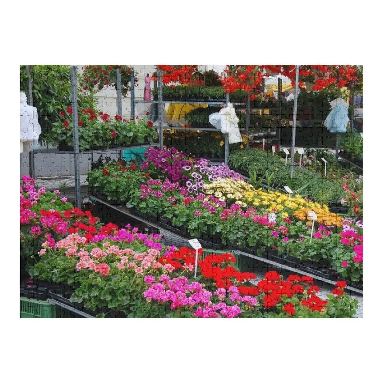Flower market in Trnava, Slovakia Jigsaw Puzzle Name Wooden Toy Wood Photo Personalized Puzzle