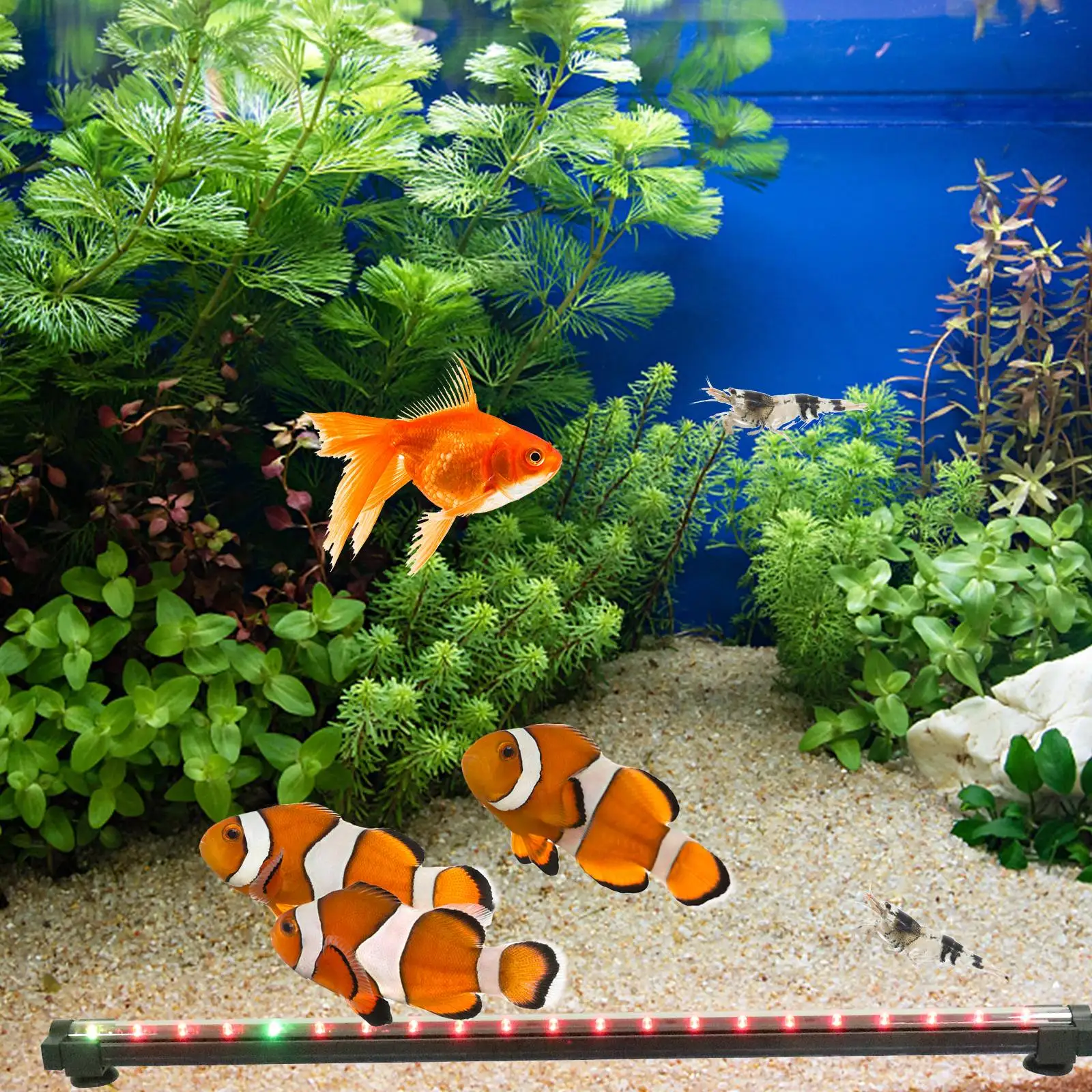 Aquarium lamp LED Aquarium Light Fish Tank Lamp Fish Tank Light