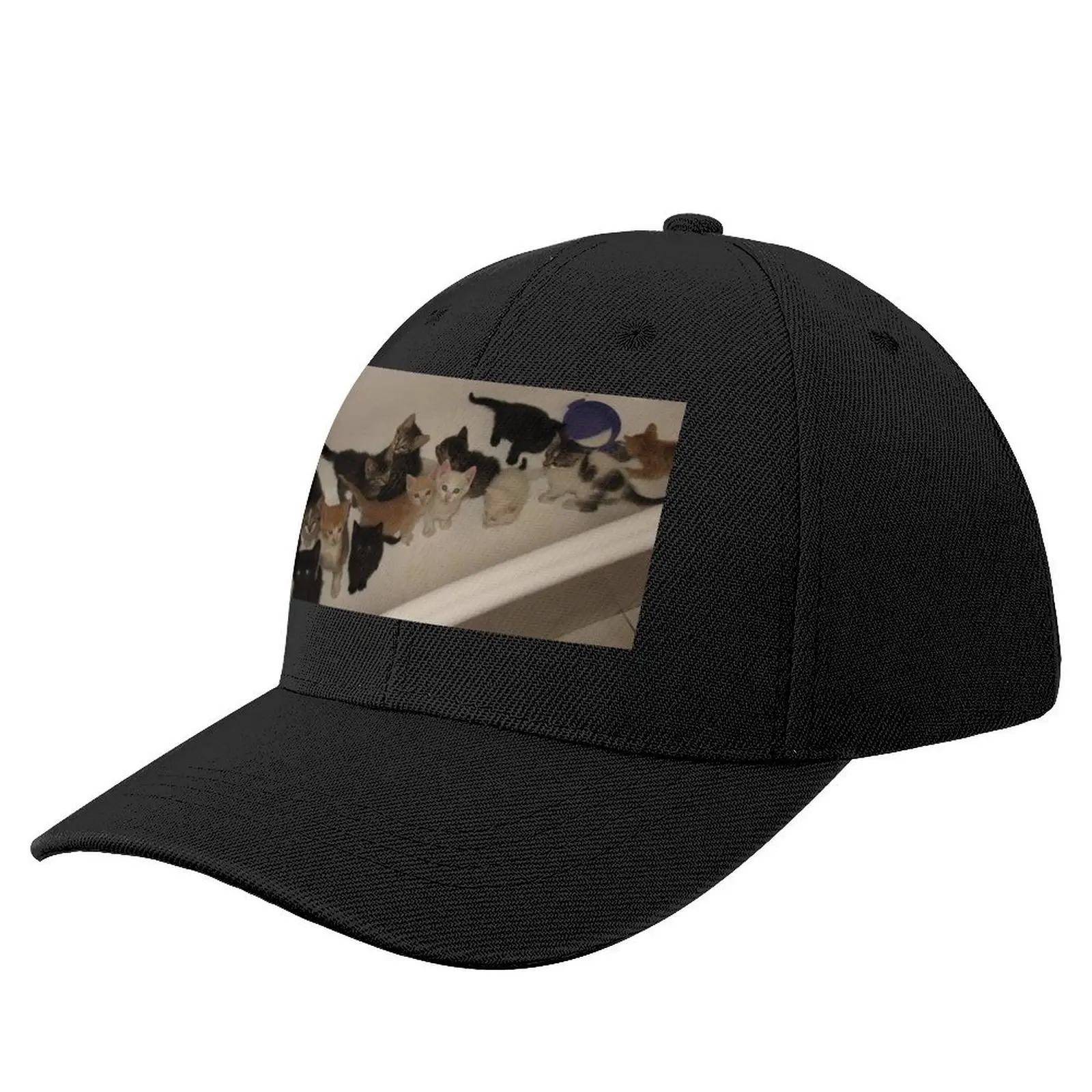 Kitten bath Baseball Cap Fishing cap hiking hat Men Women's