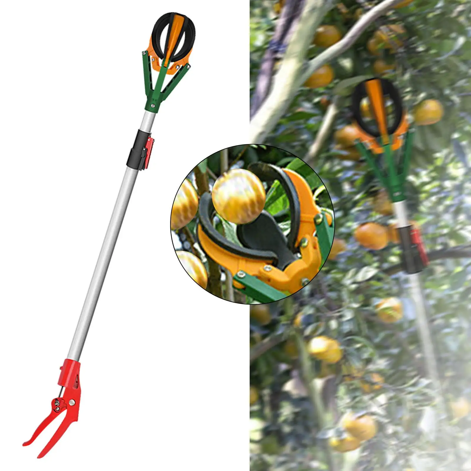 Fruit Picker Pole Extendable Fruit Harvesting Tool High Reach Light Bulb Changer for Avocado Orange Pears Guavas Getting Fruits