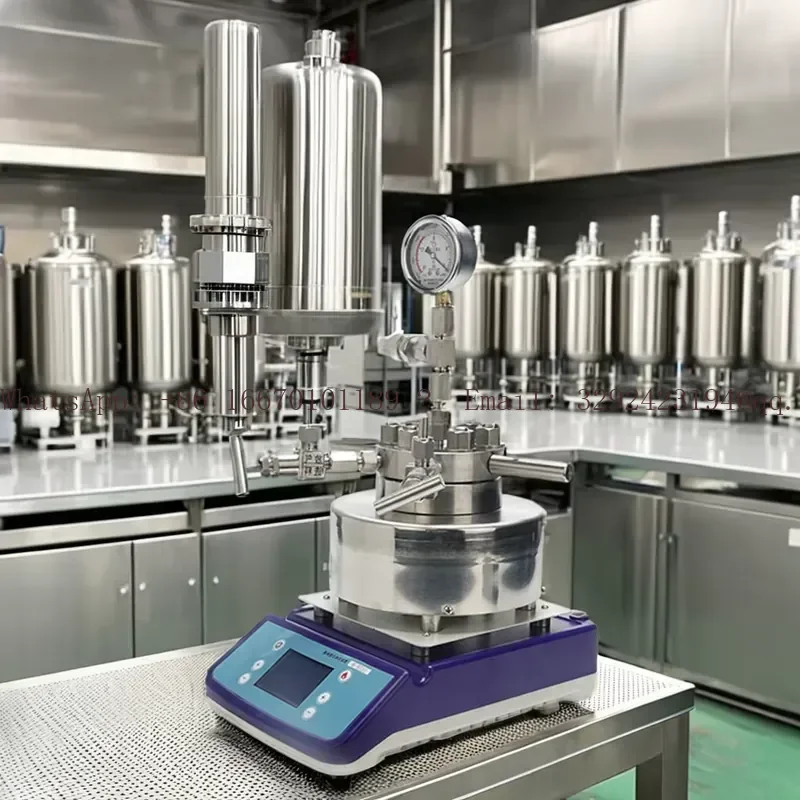 100ml High Pressure Reactor with Magnetic Stirrer for Laboratory Use Lab Equipment
