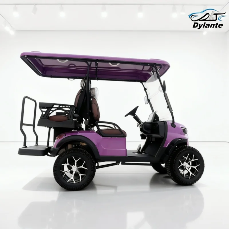 CE-geprüfter 6-Sitzer-Elektro-Golfwagen für Touristen, elektrischer Golfwagen mit Ledersitz und Kopfstütze, 14-Zoll-Offroad-Reifen