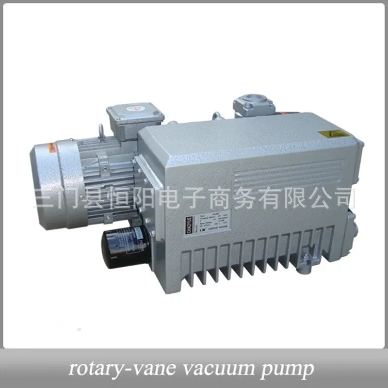 Oil Seal Rotary Vane Vacuum Pump for Refrigeration Maintenance Printing Packaging Extraction Machine Factory Direct Sales