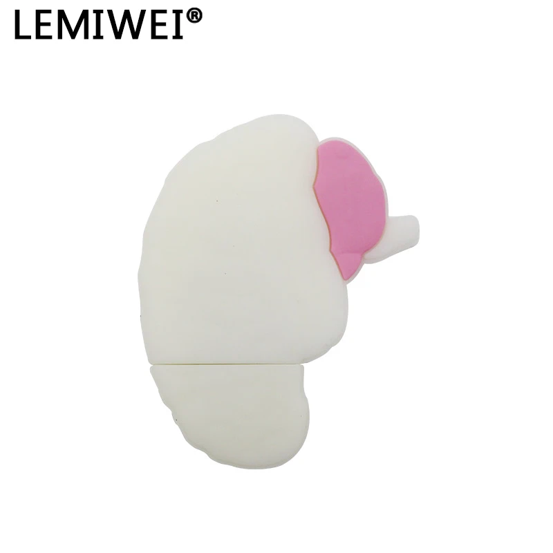 Hoạt Hình Con Người Cơ Quan USB Đèn LED Lung Trái Tim Dạ Dày Não Bộ Bác Sĩ Pendrive 64Gb Ổ Đĩa Flash Usb Memoria Usb bút