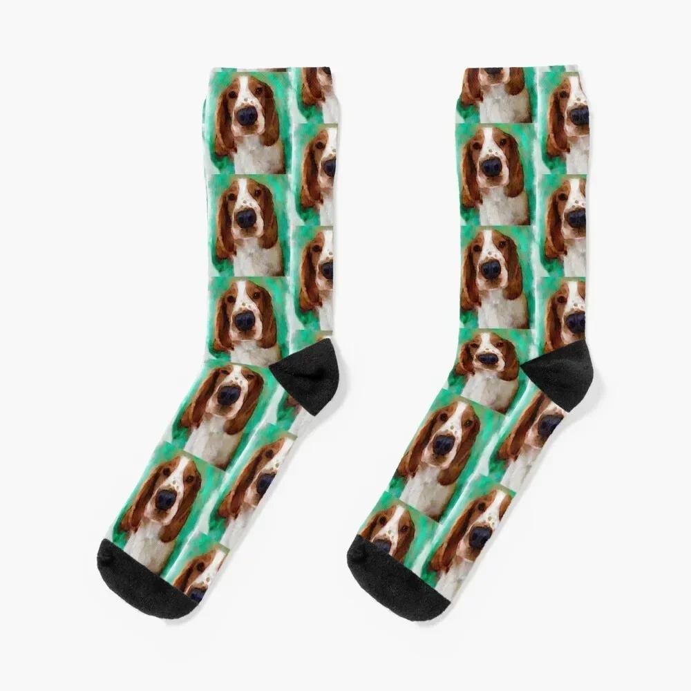 

Welsh Springer Spaniel Puppy Art Socks winter thermal Stockings compression Socks Ladies Men's