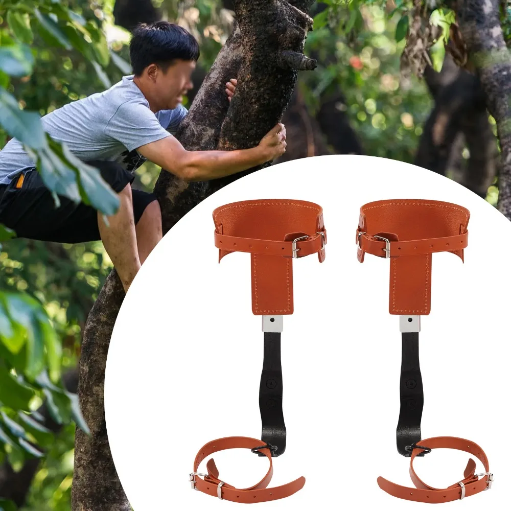 

Climbing Tree Spikes Stainless Steel Climbing Trees Gears with Cattle Hide Leggings Straps for Outdoor Jungle Survival