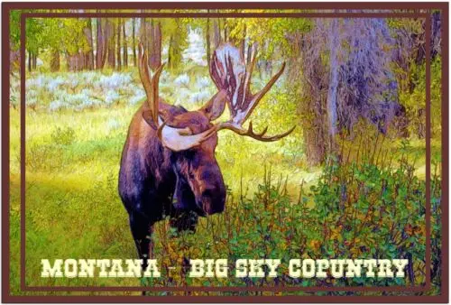 20 x 30 Print Poster State Montana Moose Big country Tin Sign