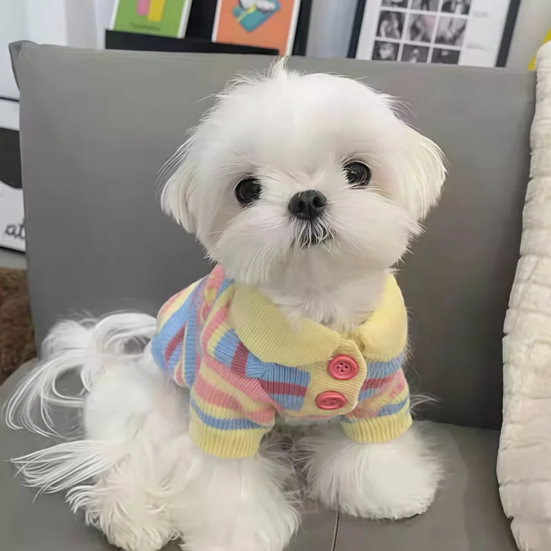 

Pet Sweater Yellow Striped Maltese Sweater Warm Teddy Knit Pullover Poodle Winter Clothes Cute Puppy Soft Pullover