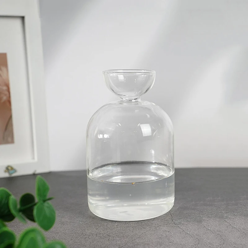 Avocado Seed Starter Vase Transparent Glass Vase Vase For Growing Plant Glass Seed Growing Kit For Gardening Lovers