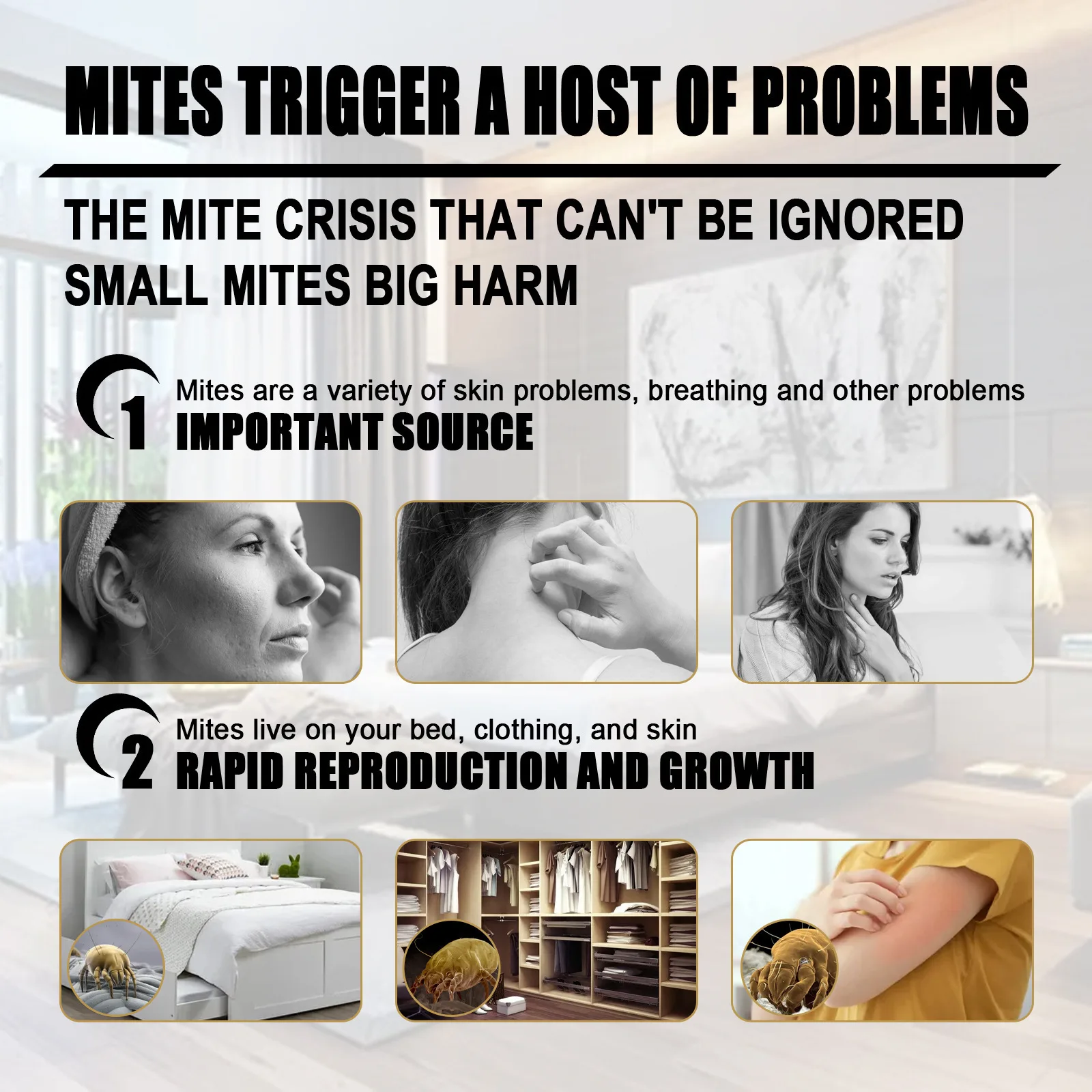 South Moon Mite Killer Bag Insect Worm Eliminator Pillow Sheet Sofa Anti-Mite Deodorant Antibacterial Natural Mites Remover Pack