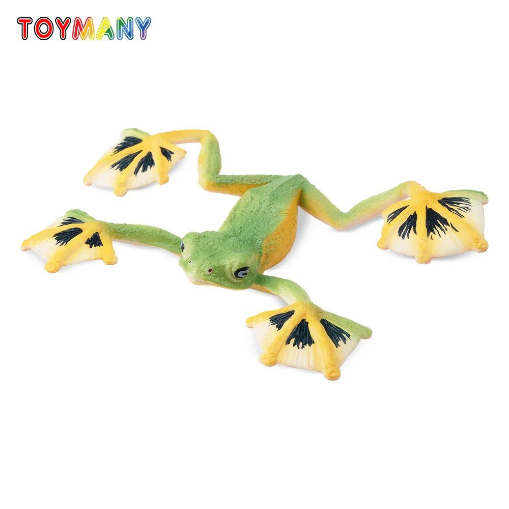 

Toymany Simulation Wallace's Flying Frog Reptile Realm Animal Model Toy Mini Figures Dolls Action Figurines Toys Children Gift