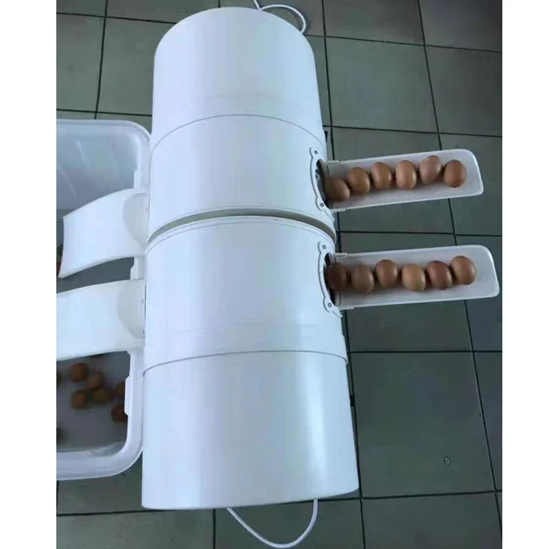 

Electric Poultry Egg Washer Machine High Efficiency Commercial Dirty Egg Washing Cleaning Equipment