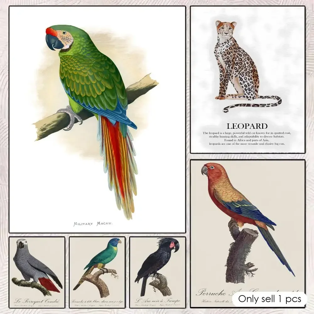Cockatoo Red And Blue Macaw Illustration Poster Home Prints Wall Painting Bedroom Living Room Decoration Office Sticky Wall