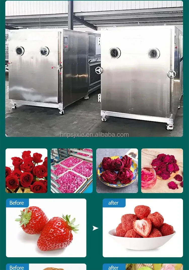 High quality freeze drying machine sublimation condensation dryer vacuum lyophilizer price freeze drying