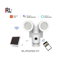 Hot sale 1080P Tuya Network Video Recoding Surveillance Outdoor Security Wireless Wifi Solar Powered IP Camera Smart System