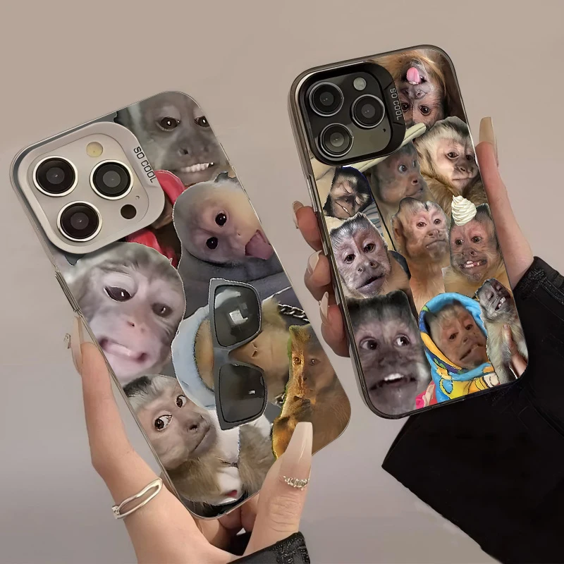 الإبداعية القرد تصفيح جراب هاتف آيفون 17 16 15 14 13 12 11 برو ماكس زائد 17 الهواء 16E X XR XS ماكس غطاء ممتص للصدمات #2