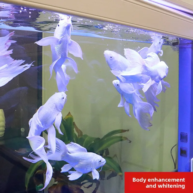 SUNSUN Specially Formulated Butterfly Koi Food, High Protein Floating Pellets for Whitening & Enhanced Scale Health