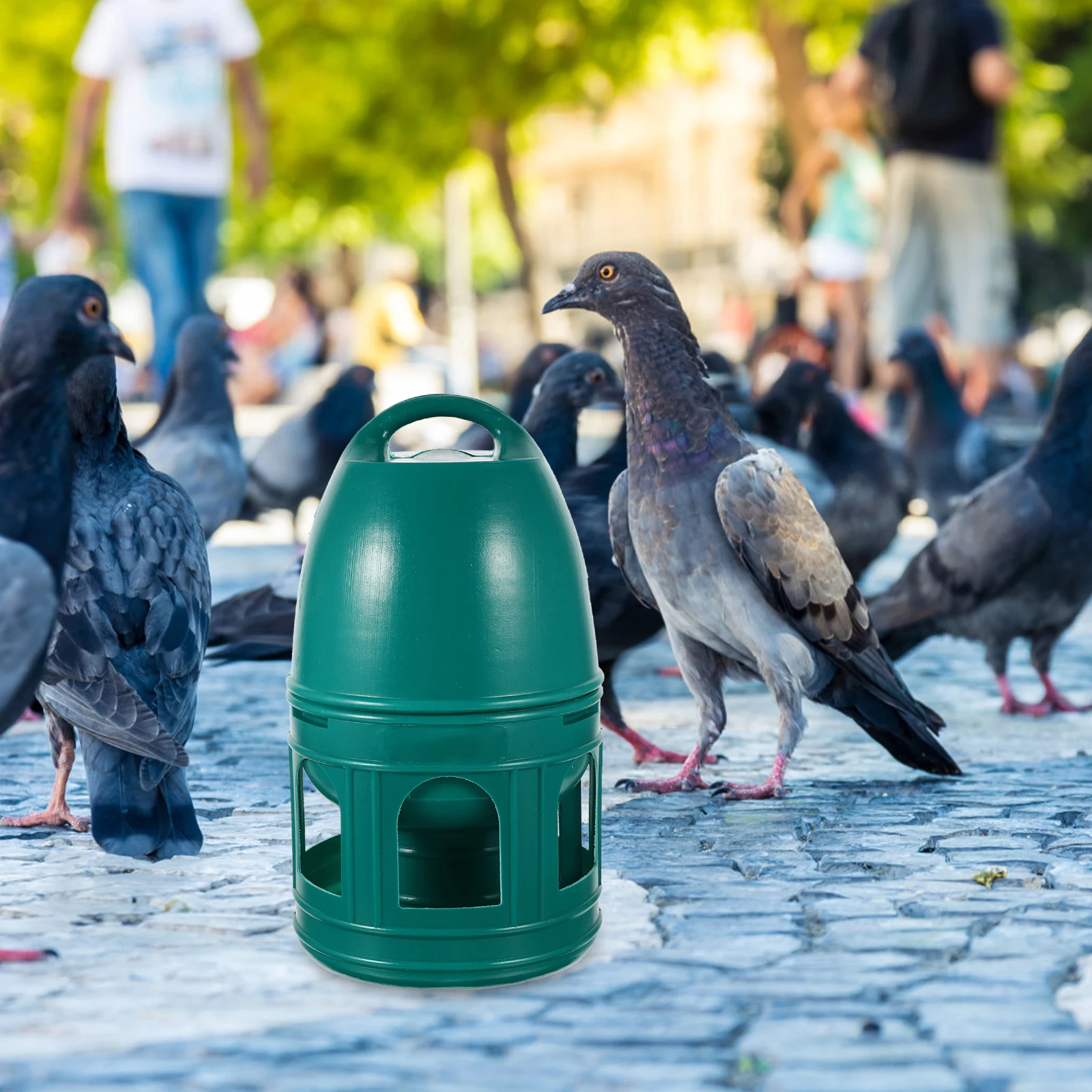 

Pigeon Bird Water Dispenser Automatic Drinking Fountain Quail Feeder Plastic Bird Waterer Removable Easy Clean for Home