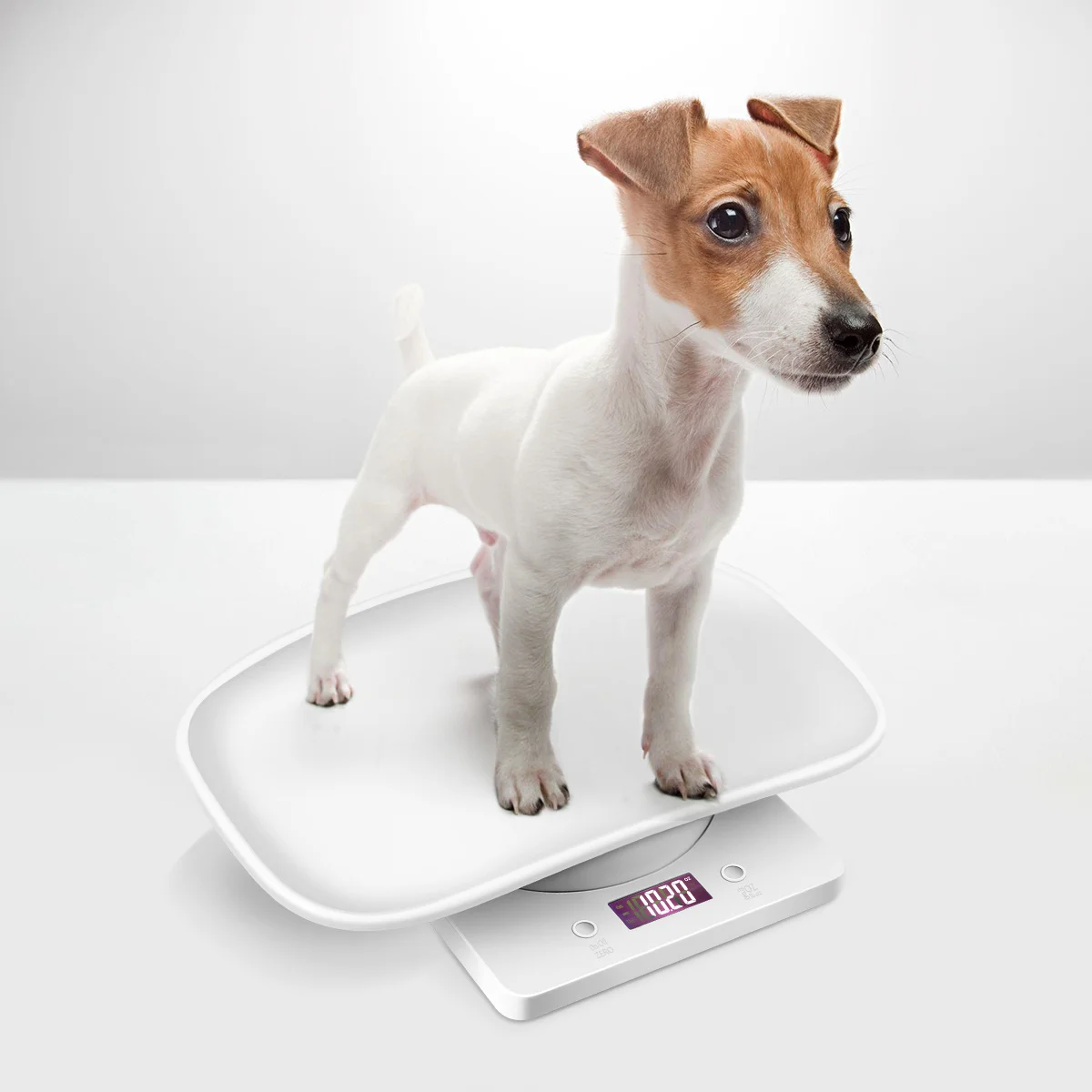 

1pc 10Kg Digital Pet Scale For Small Animals Portable Pets Weighbridge With Backlit Display Dog Scale Measure Tool Infant Care