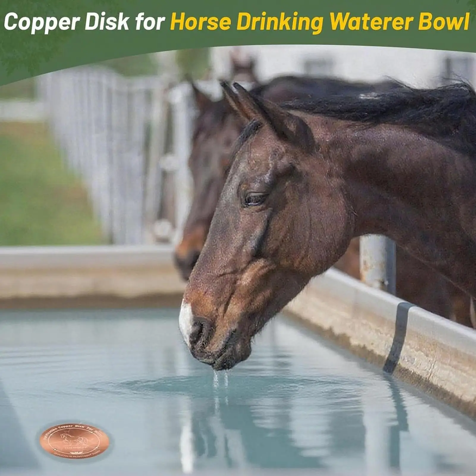Copper Disk For Pool 4 Inches Copper Purifier Cattle Trough Purification Plate For Outdoor Birdbaths Livestock Troughs Pool Farm