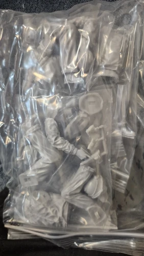Buyer photo of this resin kit