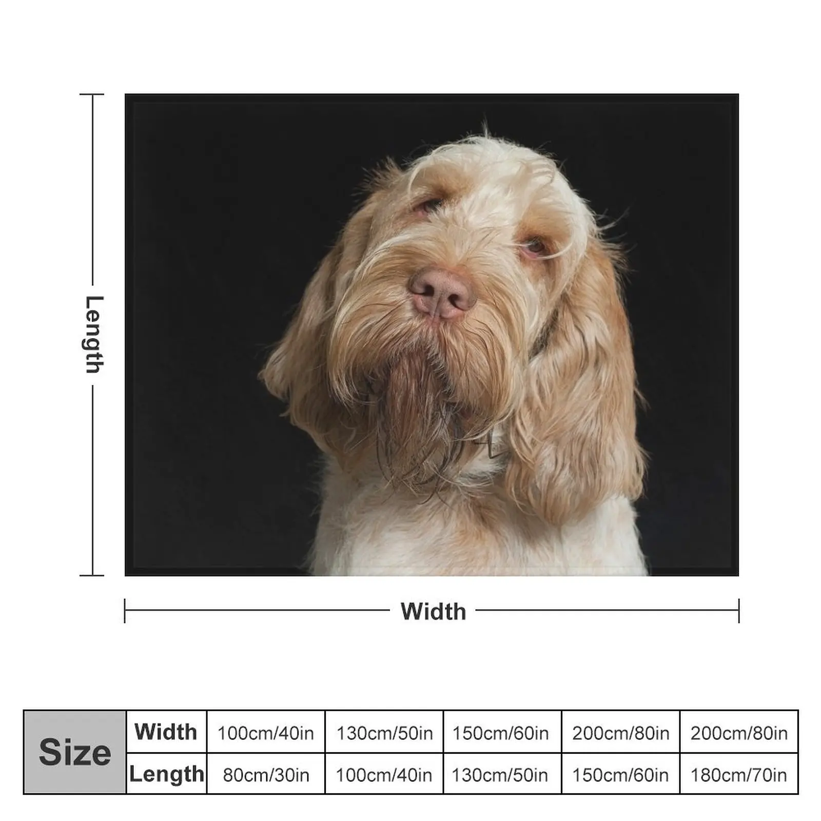 Head tilt Spinone Throw Blanket Sofa Quilt Heavy Soft Hairys Blankets