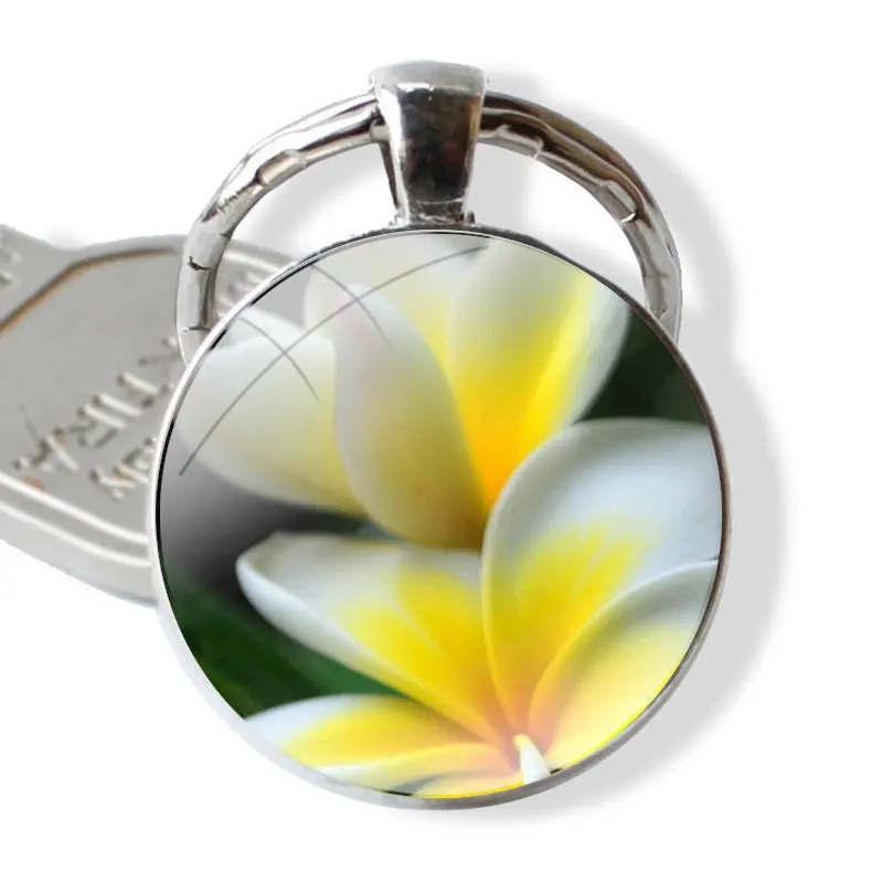 Group of beautiful frangipani flowers 25mm Glass Cabohcon Keychain Key Rings for Women Men Jewelry Gift