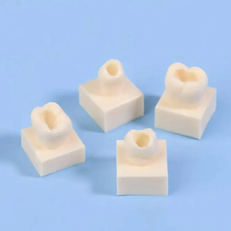 

5×8pcs/set Dental Resin Filling Teeth Model Tooth Morphology Training Resin Granule Filling Dentist Oral Filling Practice Tool