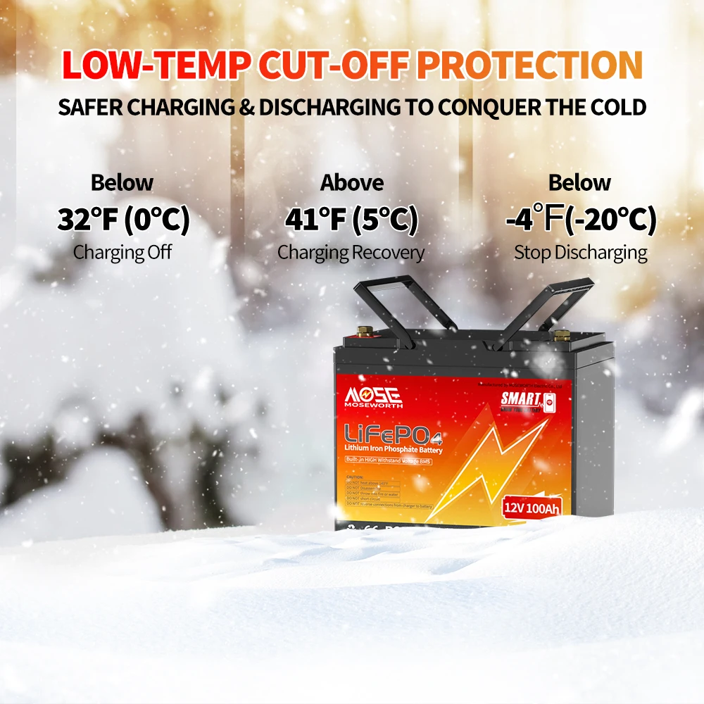 MOSEWORTH 12V 100Ah LiFePo4 Akku Eingebauter 100A BMS Lithium-Eisenphosphat-Akku Wiederaufladbare Bateria für Solarboot – Detail 3