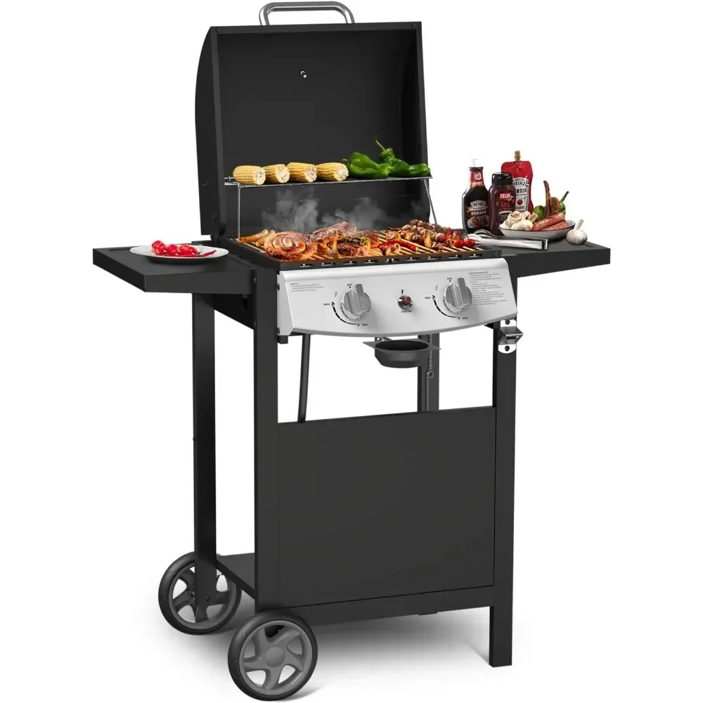 

Propane Gas Grill 21000 BTU with 2-Burner,325 sq.in. Outdoor BBQ Grill for Barbecue Cooking with Top Cover Lid