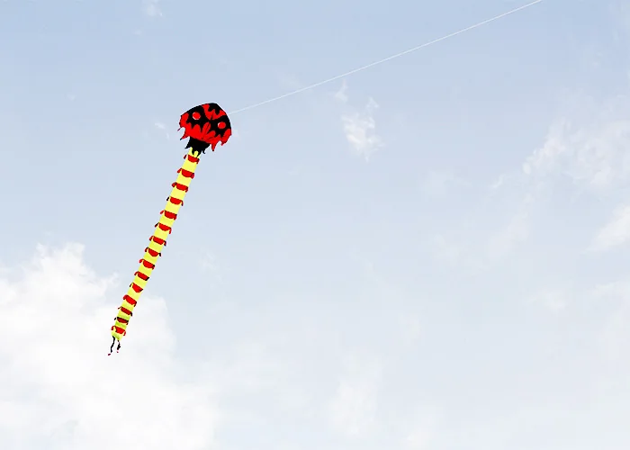 Outdoor Fun Strong 8M Huge Centipede Kite  Beginner Kites  Adults Come With String And Handle Good Flying