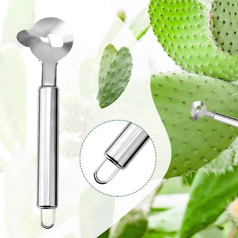 2 Pieces Multi-Function Nopal Cactus Peeler Cutter Stainless Steel Pelador de Nopales with Groove Edge Ergonomic Cactus Peeling Spoon Safe Easy Thorn Remover Kitchen Cooking Tools Accessories view 4