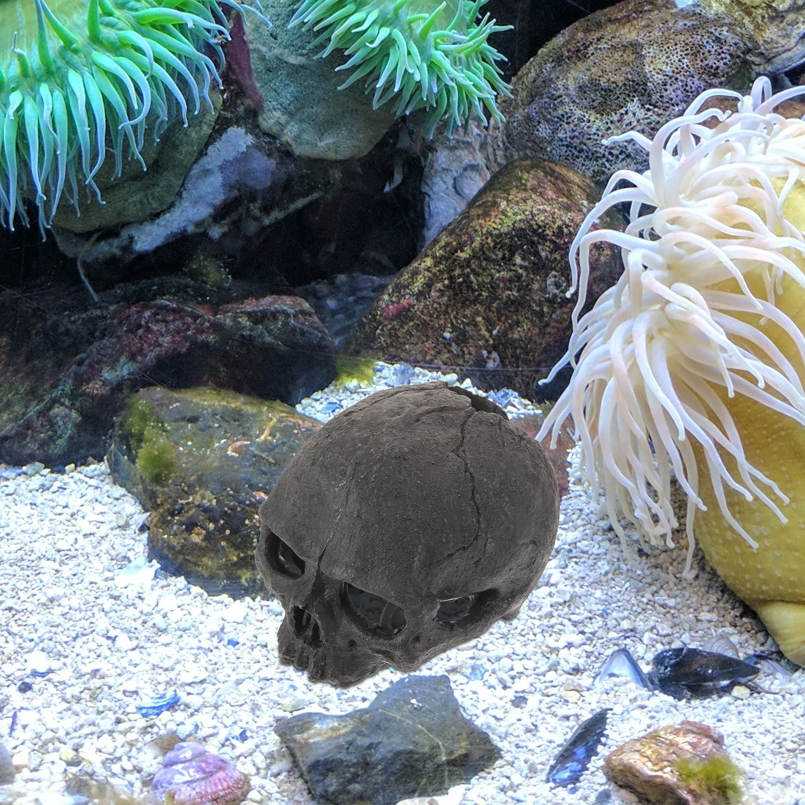 

Aquarium Resin Skull Statue Fish Tank Cave for Hiding Perching Shrimp Fish Safe Eco-Friendly Decorative Element
