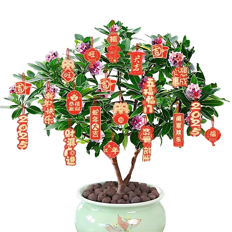 La piccola decorazione a lanterna con pendente piccolo FU è adatta per bonsai, piccolo pendente con pianta verde, decorazione di Capodanno (2025)