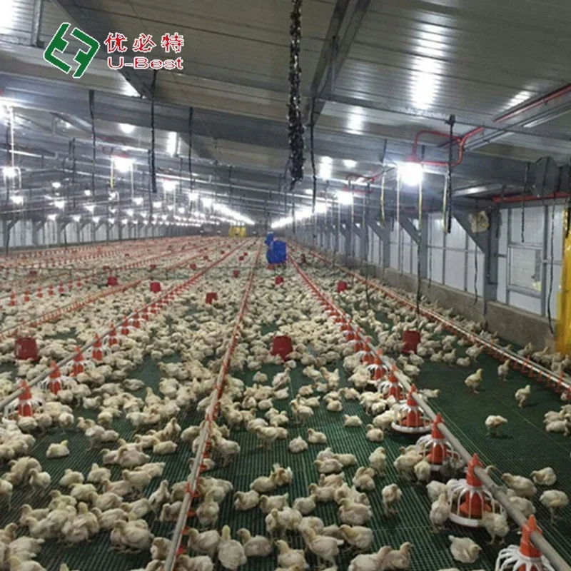 Hot Sale Automatic Chicken Poultry Farming Animal & Poultry Husbandry Equipment Feeders and Drinkers Equipment