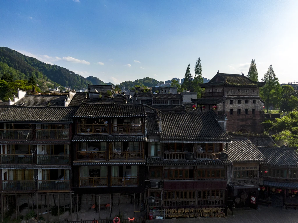 

4X детское увеличительное стекло, ручное увеличительное стекло в форме кошки, электронное увеличительное стекло, нескользящая ручка для научного образования