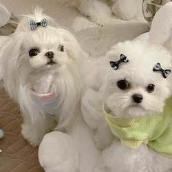 20/30pcs Pet Plaid Bows Small Dog Hair Bows Rubber Bands Cute Puppy Cats Hair Accessories Pets Supplies Black White Bow Headwear