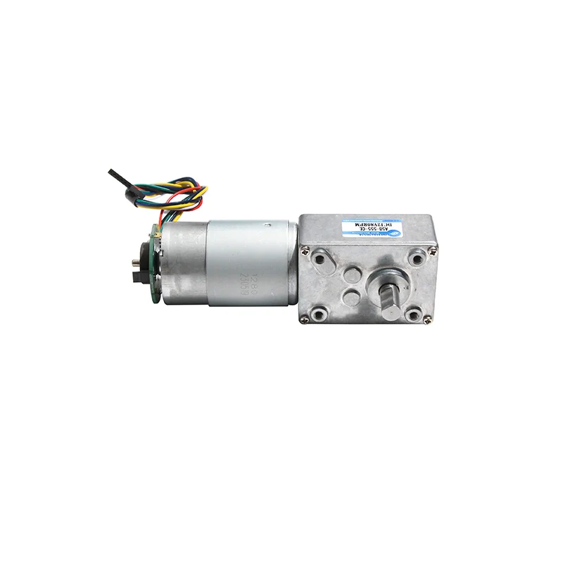 A58-555 Turbo Worm Micro DC Reduction Motor Small Motor 12V24V Encoder Double Shaft Gear