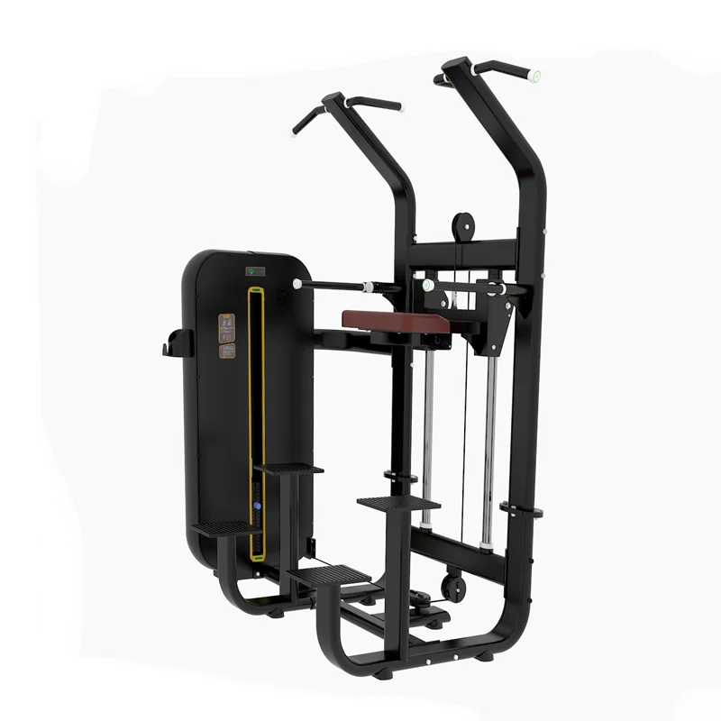 Bodybuilding Gym Equipment Manufacturer Strength Training Commercial Dip/ Chin Assist