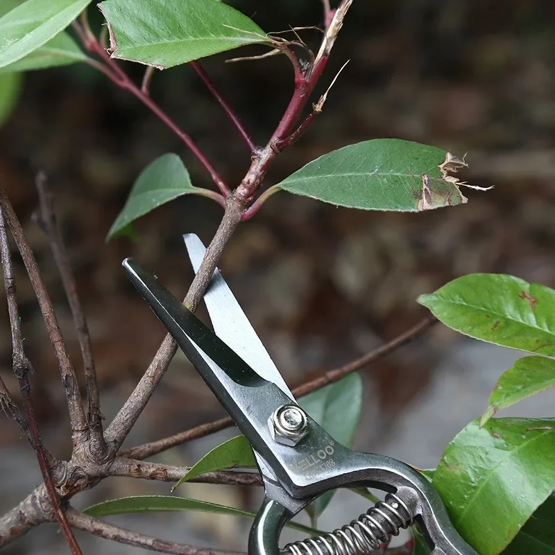 TUPI Heavy Duty Steel Curved Blade Pruners, Garden Pruning Shears, 8