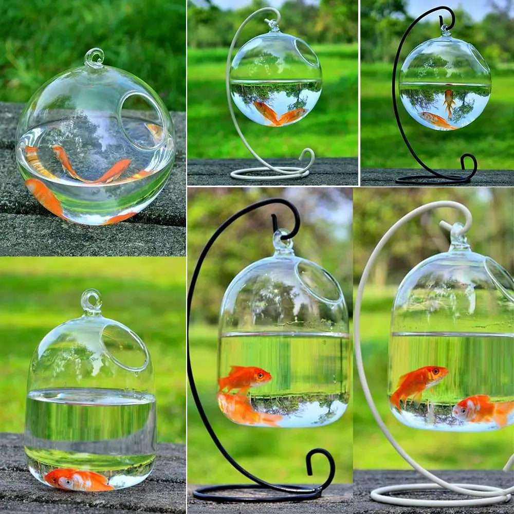 Hydroponics Vase Wall Hanging Home Decoration With Rack Holder Fish Bowl Hanging Glass Fish Bowl Vase Ornament Fish Tank