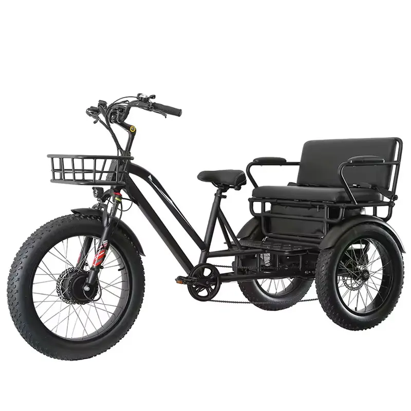 Factory Direct Sale 48V 500W Adults 3 Wheel Electric Bike 26