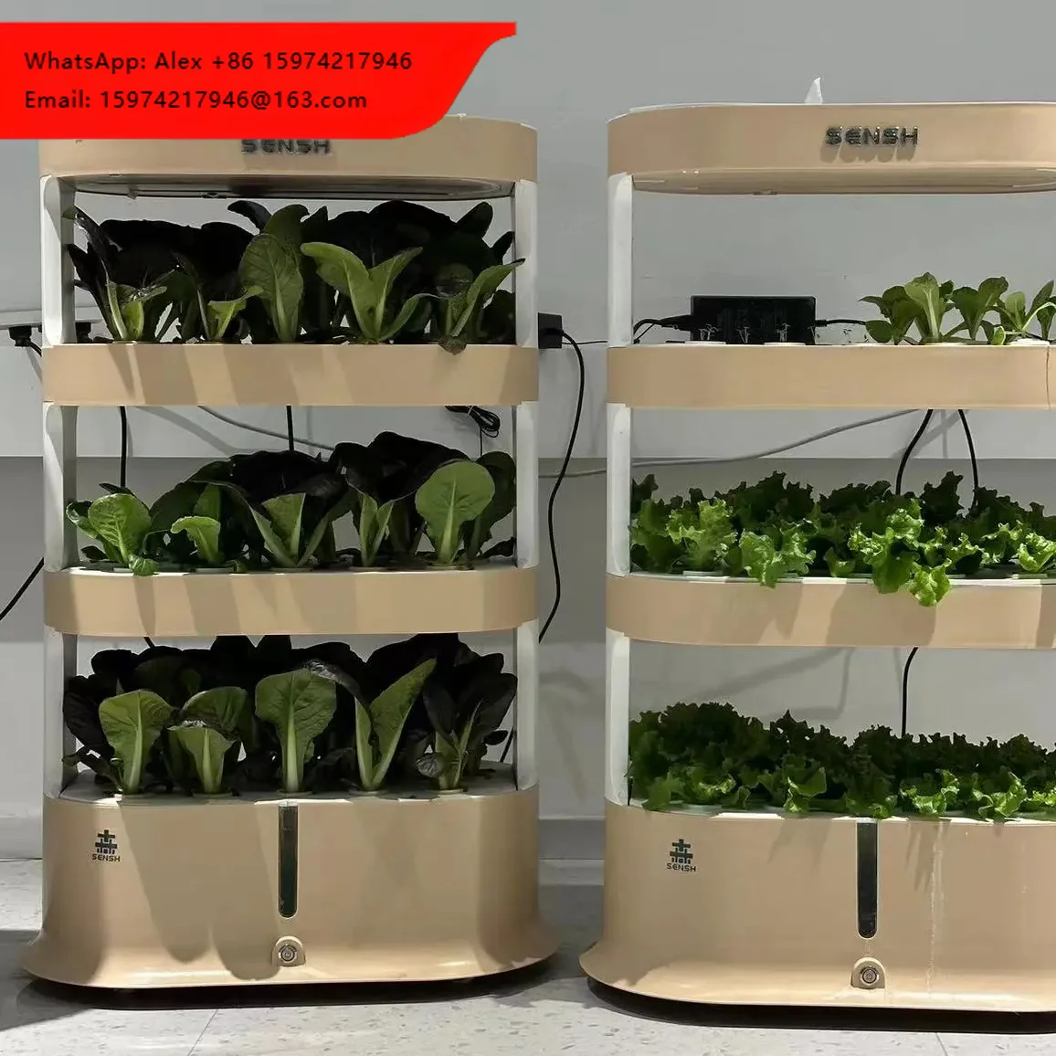 Greenhouse Plant Growth Box Soilless Cultivation System