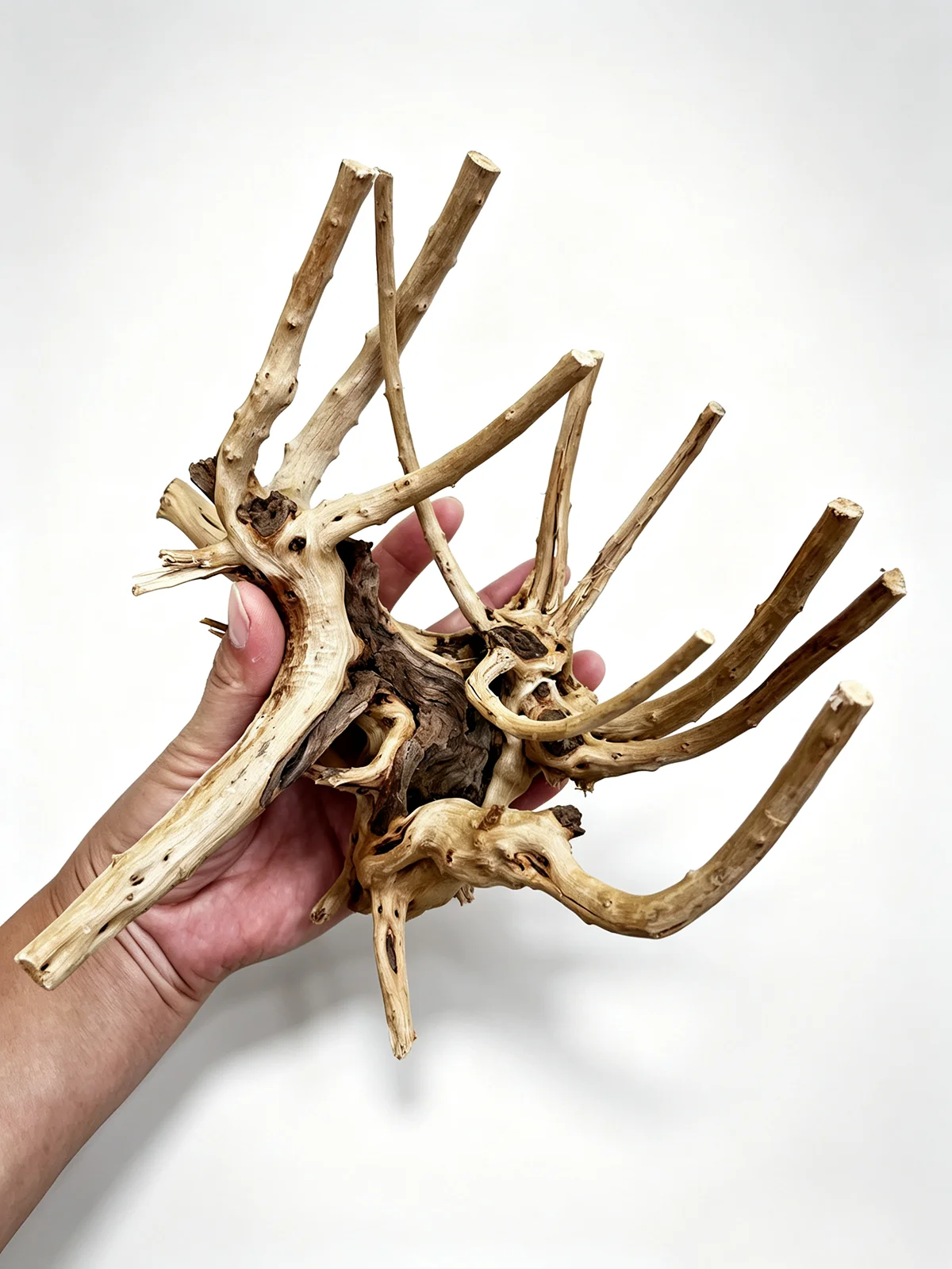 7-26CM 4 Sizes Driftwood Cuckoo Roots Dead-wood Tree Trunk Landscape Creative Reptile Cylinder Fish Tank Ornament Aquarium Decor - view 6